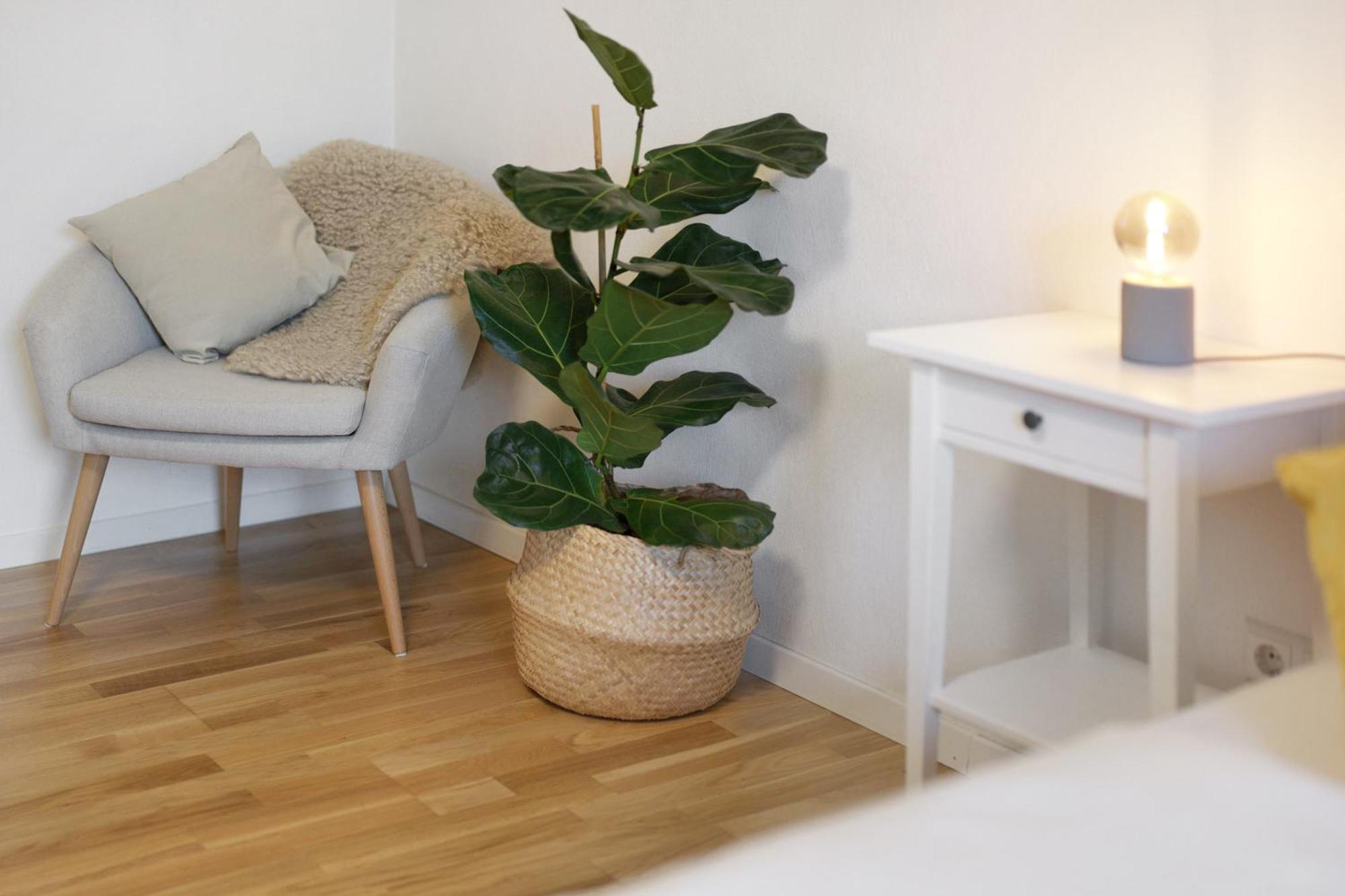 Ferienwohnung Obsthof Fiess Oberkirch  Εξωτερικό φωτογραφία